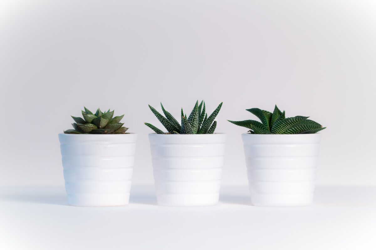 Love by Essie (New plant-based Essie line) - Noae Nails