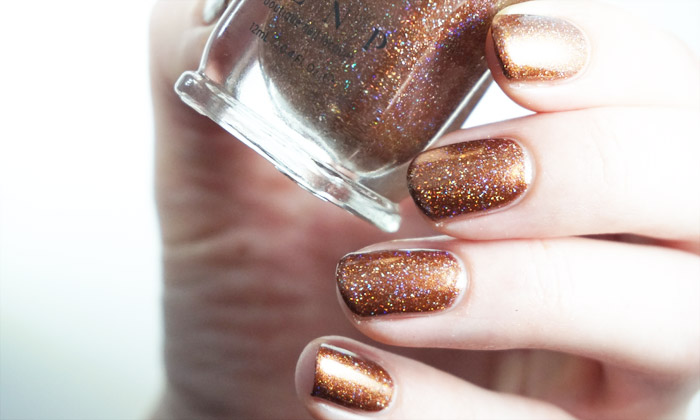 swatch of ILNP cabin fever (winter 2016)